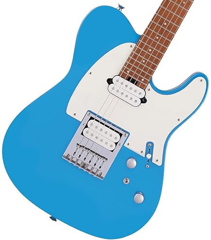 Amazon.com: Charvel Pro-Mod So-Cal Style 2 24 2PT HH - Natural Ash